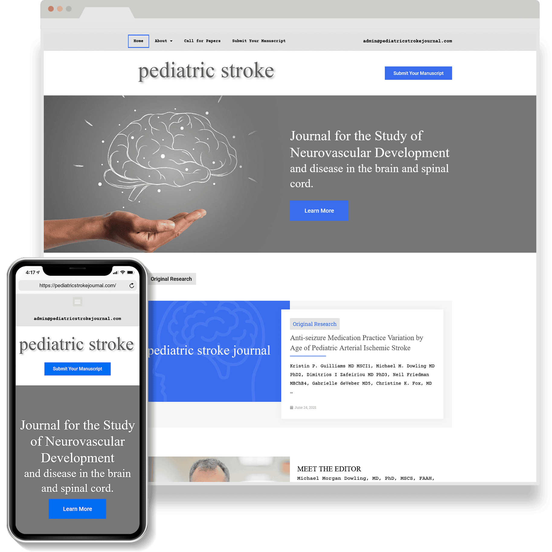 Pediatric Stroke Journal